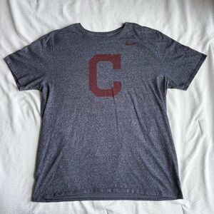 MLB Cleveland Guardians/Indians Gray Nike Tee Short Sleeve Shirt Men's Size XL